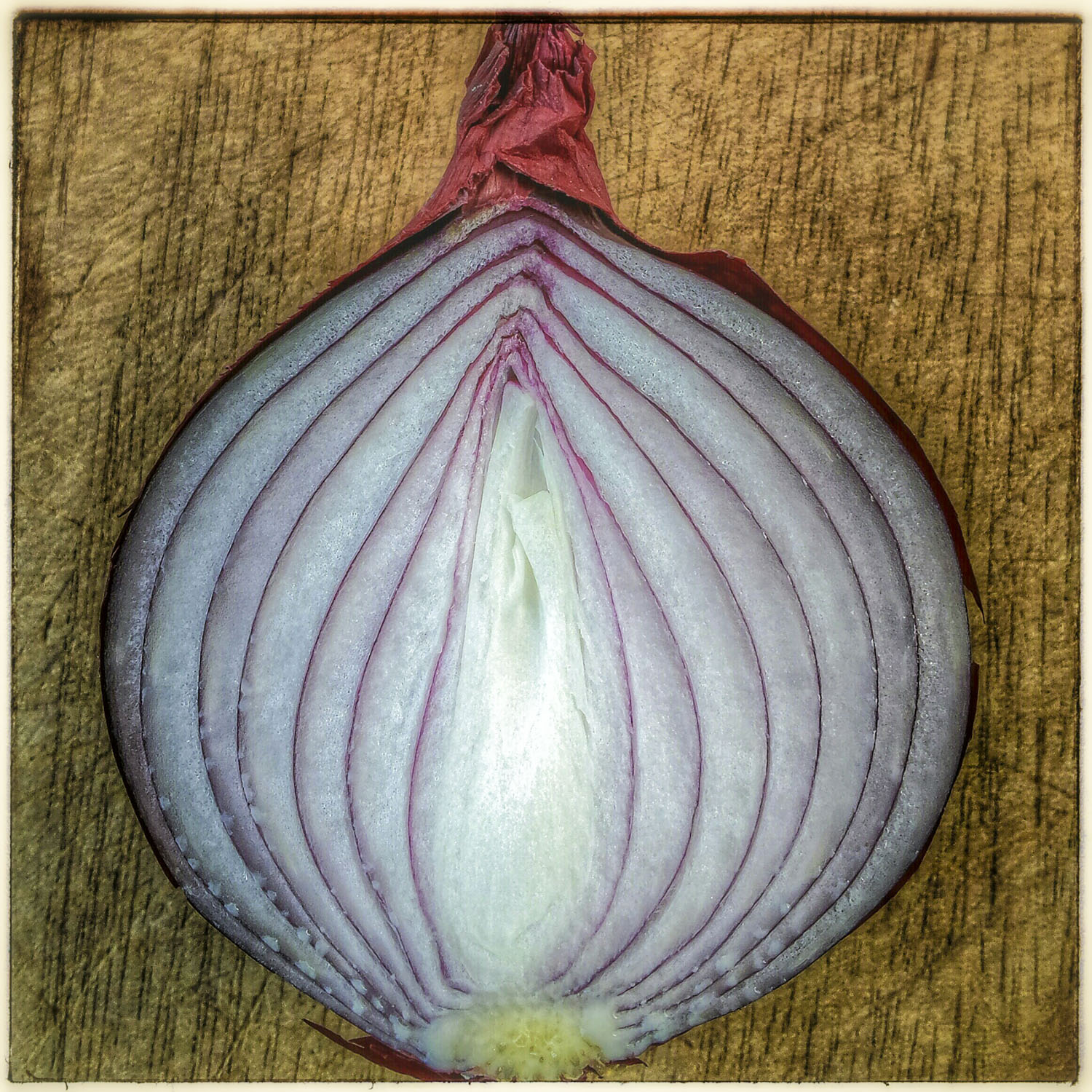 Onion on Board a