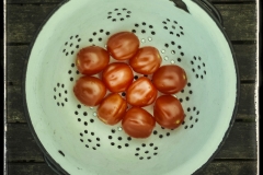 Cullander and Tomatoes
