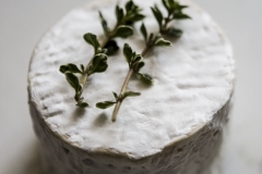 Goats cheese with lemon thyme 1